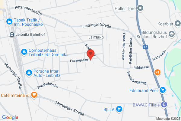 Fenster Assl