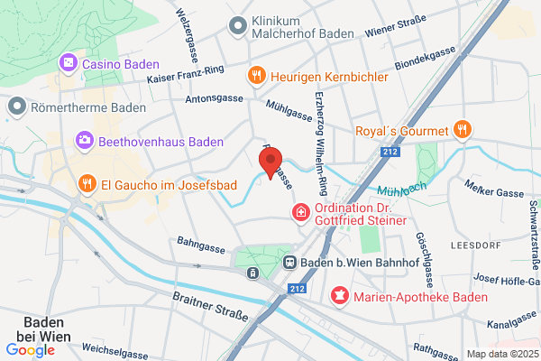 INSTITUT für MENTALLOGIK