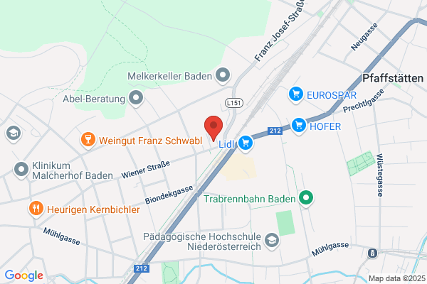 Bezirksjournal Moedling