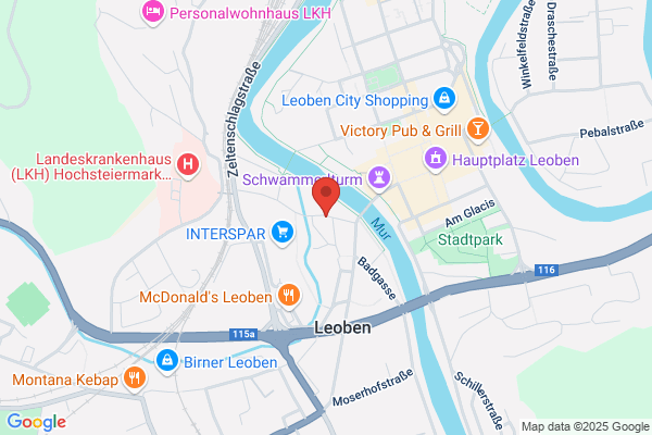 LIBIT Leobner Initiative f Beratung Information u Therapie
