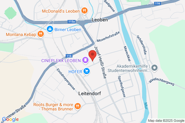 Ing. Buero LENZ und MOSER GmbH