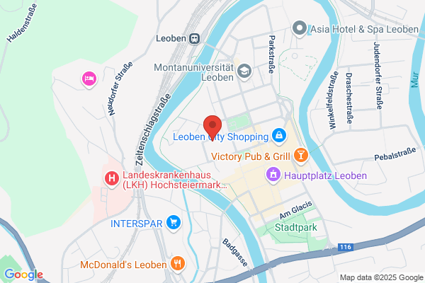 Institut fuer Aufbereitung und Veredelung
