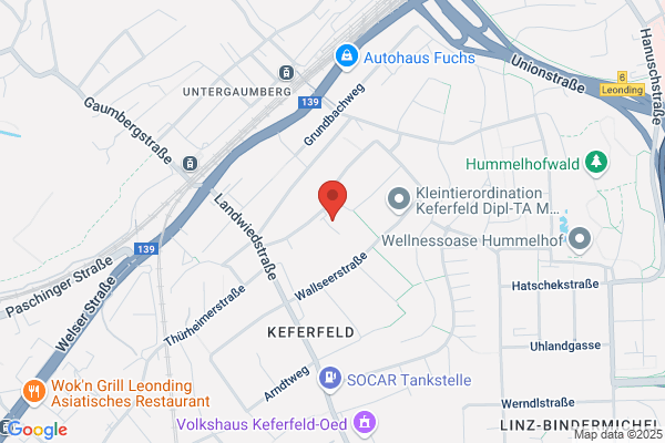 Franziskusschwestern