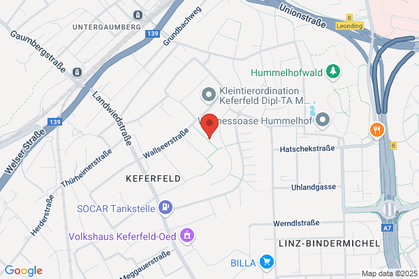 Oesterr. Kinderfreunde