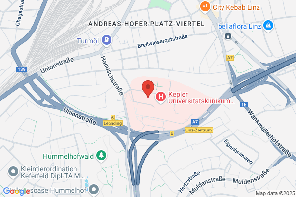 Dr. Helga Mezgolich Wagner Jauregg Krankenhaus OOe. Psychiatr. Abt.f. Frauen