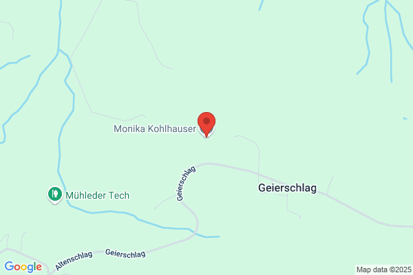 Monika Kohlhauser
