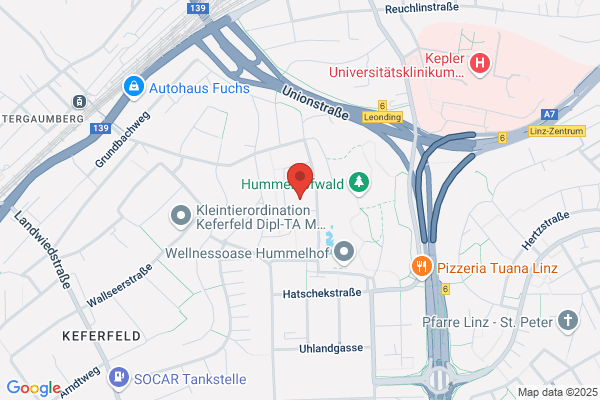GSD Gesundheits- u Soziale Dienste GmbH