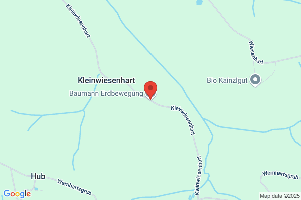 Baumann GesmbH