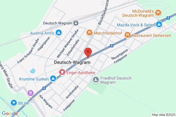 Fachinstitut fuer Massage Karl Nemecek
