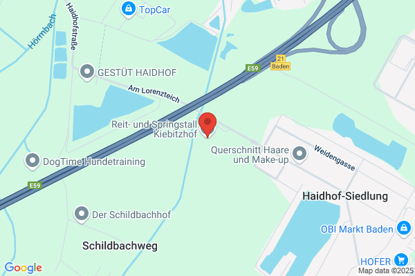 Reit- u Springstall Kiebitzhof-Benes KEG