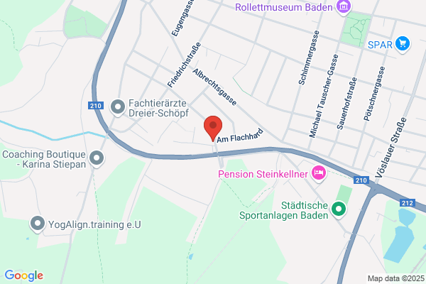 Schabauer Peter Ing Mag