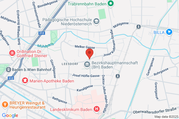 Insight Language Services Mag Haidacher (MBA) und McDonnell (MBA) OEG