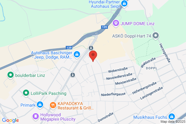 Singh und Co OEG