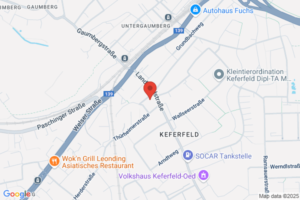 Volksschule 32 Keferfeldschule