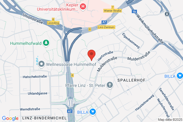 Ristorante La Ruffa - Linz-Spallerhof