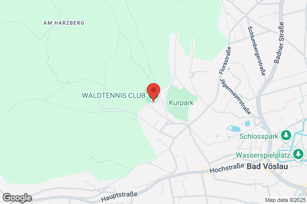 Waldtennis