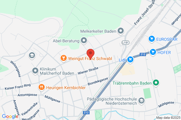 Schwabe - Ley und Greiner GmbH