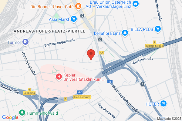 Lechner Linz Treuhand Wirtschaftspruefungs- u Steuerberatungs-GmbH