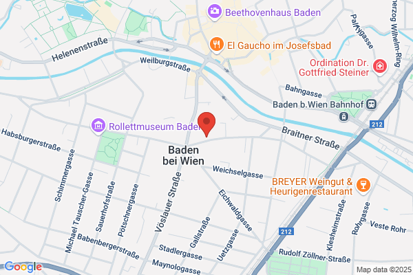 Villa Helene Peter Paul Hassler