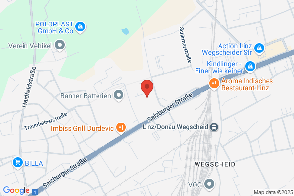 Waschbar - Waschen und Essen