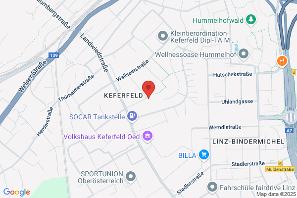 Homöopathiepraxis Dr. Sedlacek Peter