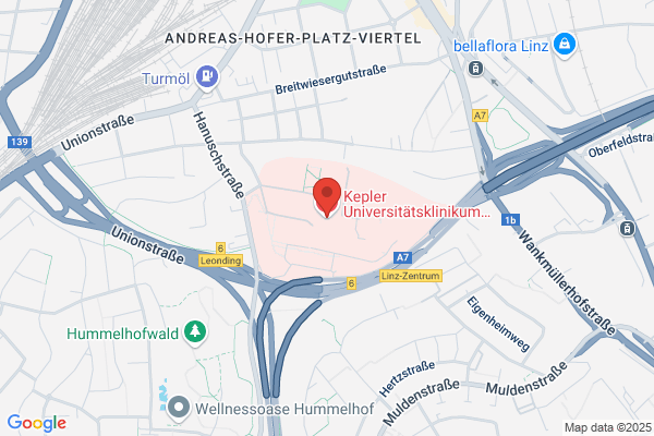 Dr. Helga Mezgolich Wagner Jauregg Krankenhaus OOe. Psychiatr. Abt.f. Frauen