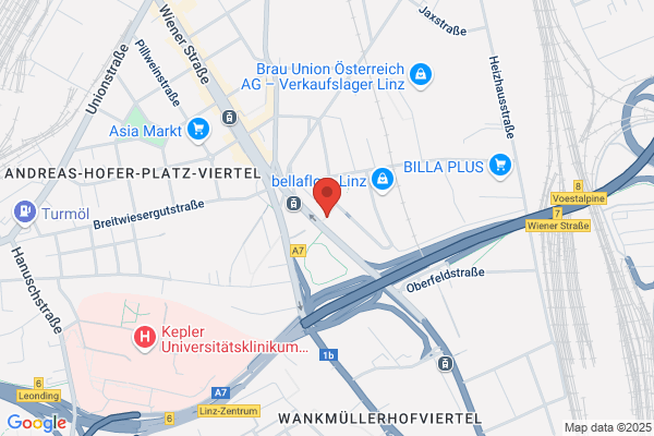 Fellinger und Schmidt OEG