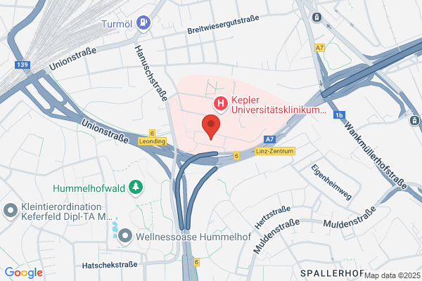 Akademie f Ergotherapie Landes- Nervenklinik Wagner-Jauregg