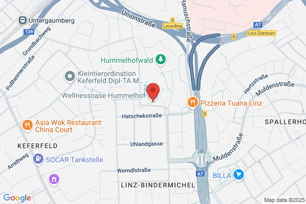 Restaurant Hummelhof