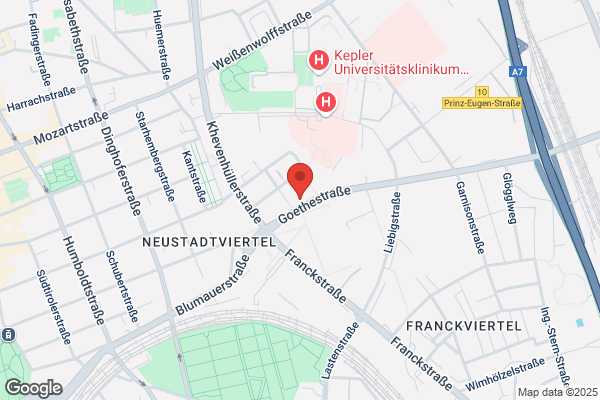 Bettelheim Peter Univ Prof Dr