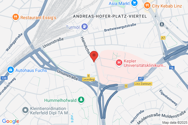 Zum Schiefen Apfelbaum