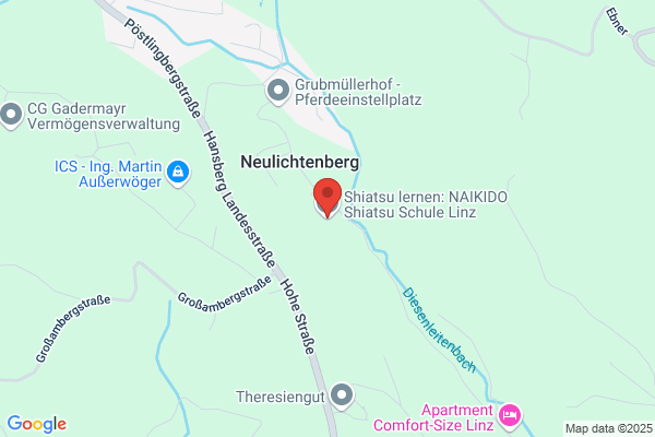 NAIKIDO INSTITUT LINZ SHIATSU EINZELSITZUNG SHIATSU AUSBILDUNG