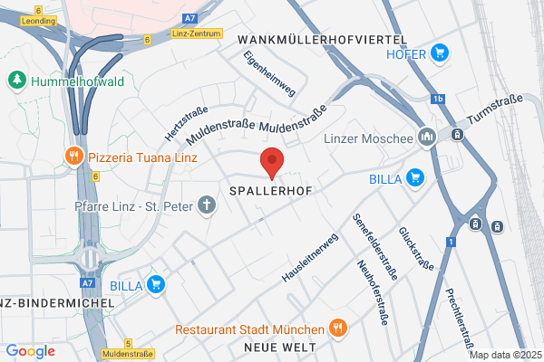 Frisch und Bachmann OEG