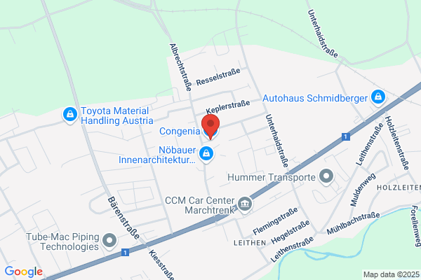 Congenia Kommunikationsdesign und Handel H. Schwaighofer KEG