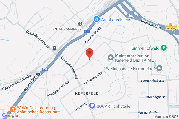 Leikermoser Privatstiftung