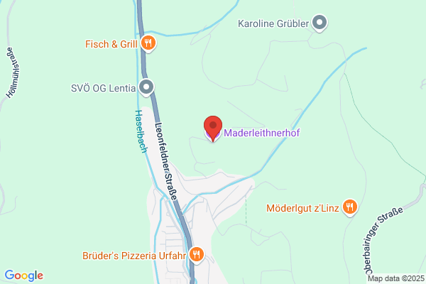 Pferdezucht Melfehrergut