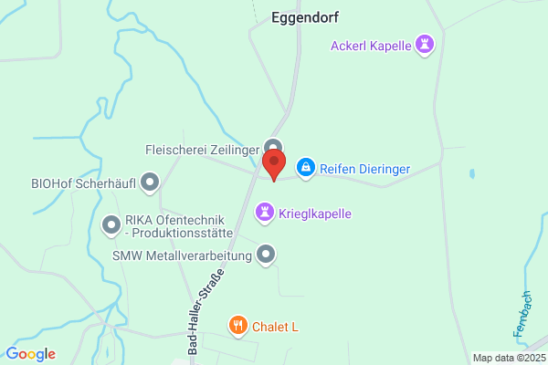 Lungenschmied Erwin