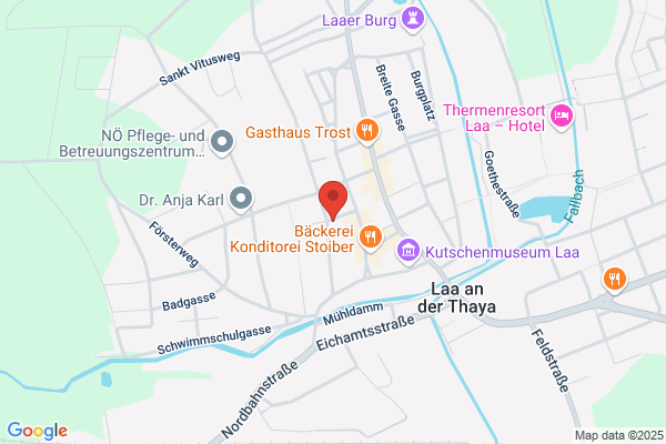 Prantl Heiner Dipl-TA Dr