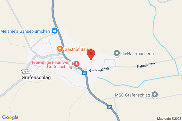 Schiller Ges.mbH und Co KG