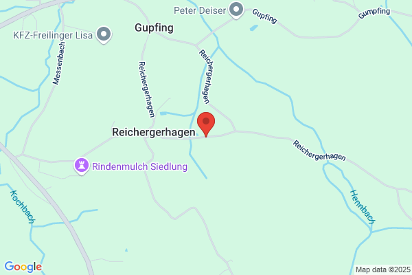 Alleinunterhalter Bert
