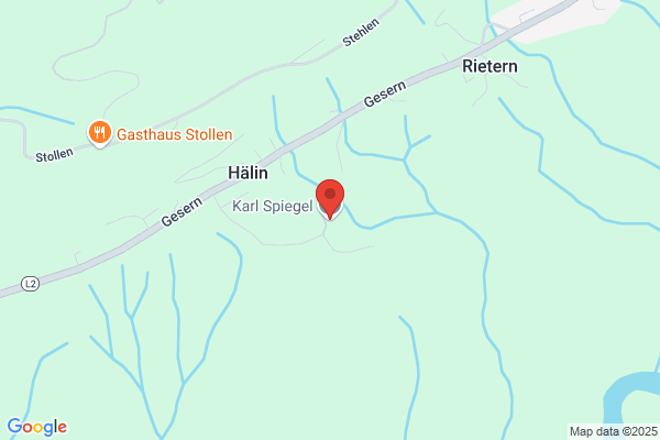 Spiegel Karl