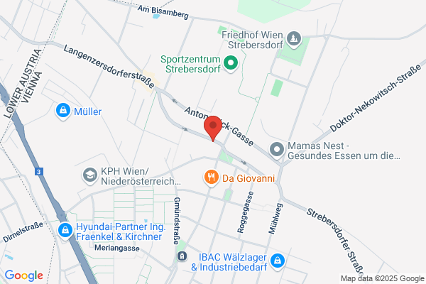 GARTEN- und GRUeNANLAGENBAU GMBH