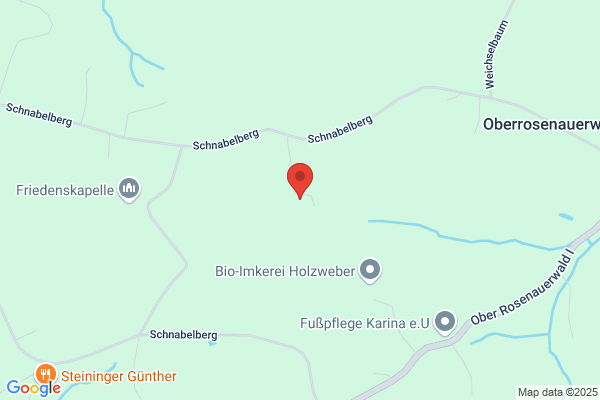 Knapp Johann GesmbH