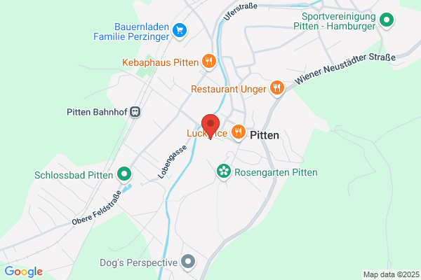 Raiffeisenkasse Pitten reg.Gen.mbH