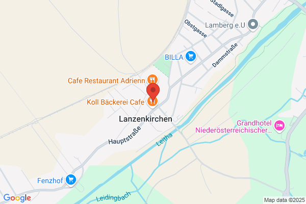 Raiffeisenkasse Pitten regGenmbH