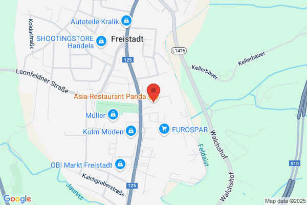 Action Freistadt
