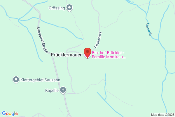 Bio- hof Brueckler - Familie Monika u Georg Brandner