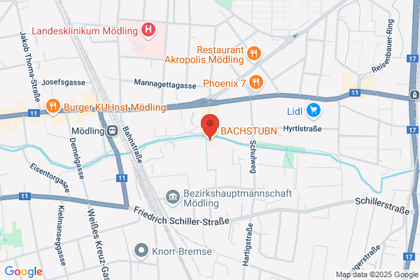 Restaurant Bachstub´n