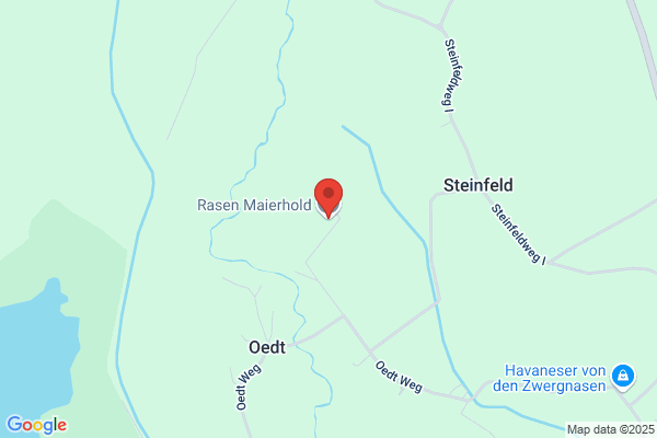 Rasen Maierhold