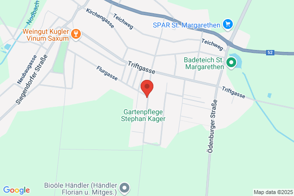 Alois Steiner